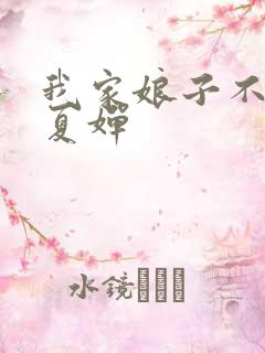 我家娘子不对劲夏婵