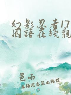 幻影忍者17季国语在线观看