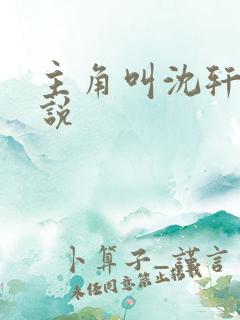 主角叫沈轩的小说