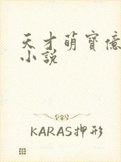 天才萌宝亿万妻小说