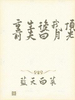 重生后我顶替了前夫白月光在线观看