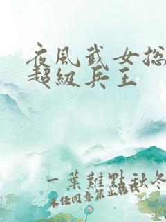 夜风武女总裁的超级兵王