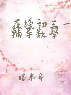 在线初三一对一辅导数学