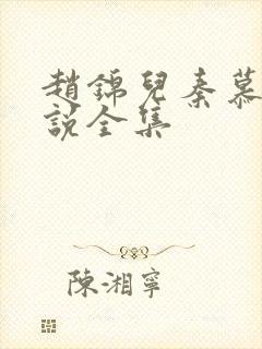 赵锦儿秦慕修小说全集