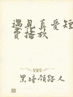 遇见真爱短剧免费播放