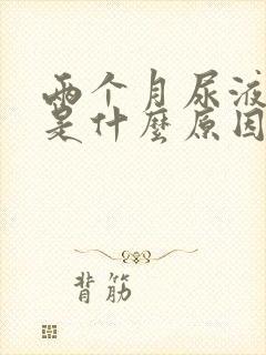 两个月尿液发黄是什么原因