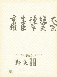 重生后绝不嫁给权臣宁芙宗肆大结局