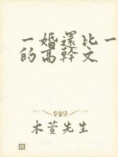 一婚还比一婚高的高干文