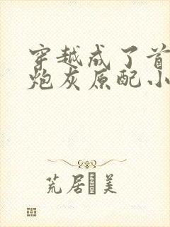 穿越成了首辅的炮灰原配小说