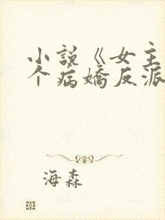 小说《女主她是个病娇反派》