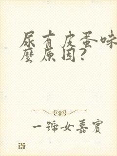 尿有皮蛋味是什么原因?