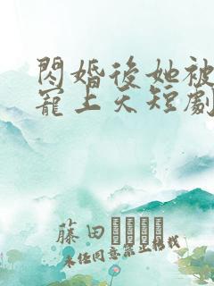 闪婚后她被顾总宠上天短剧全集在线观看