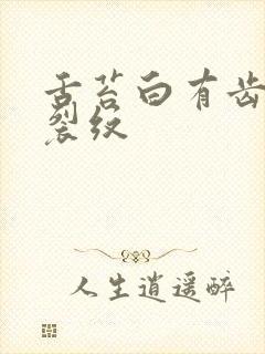 舌苔白有齿痕有裂纹