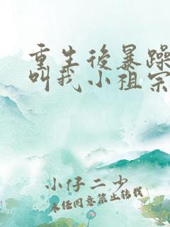 重生后暴躁大佬叫我小祖宗下载全本txt