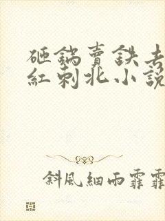 砸锅卖铁去上学红刺北小说全集免费免费阅读