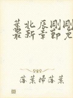 叶北辰刚刚更新最新章节免费阅读