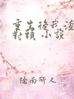 重生后我渣了死对头 小说