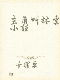 主角叫林云全部小说