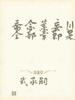 乔念叶妄川小说全部章节是多少节