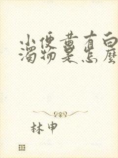 小便黄有白色浑浊物是怎么回事