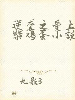 逆袭之爱上情敌柴鸡蛋小说免费完整在线阅读