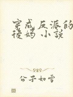 穿成反派的恶毒后妈 小说