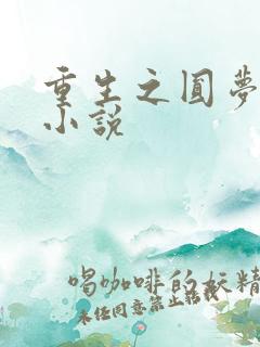 重生之圆梦人生小说