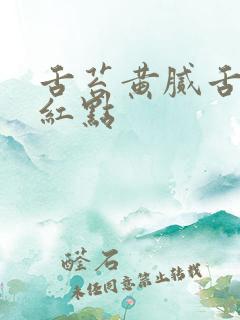 舌苔黄腻舌根有红点