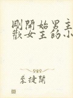 刚开始男主不喜欢女主的小说