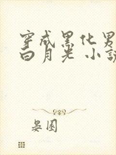 穿成黑化男主的白月光 小说