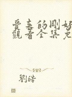 爱来的刚好在线观看全集免费播放