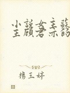 小说女主苏杳男主顾君亦的小说免费