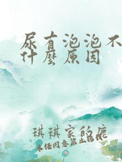 尿有泡泡不散是什么原因