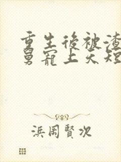 重生后被渣男舅舅宠上天短剧合集