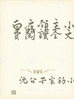 白夜领主小说免费阅读全文最新章节