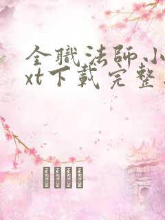 全职法师小说txt下载完整版