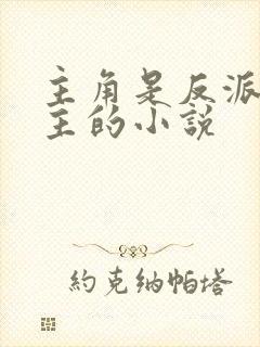 主角是反派抢女主的小说