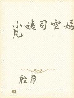小姨司空嫣然叶凡