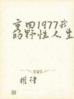 重回1977我的野性人生短剧完整版