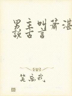 男主叫萧湛的小说古言