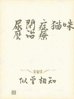 尿闭症猫咪该怎么治疗