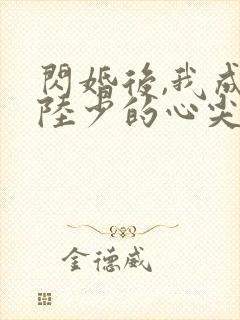 闪婚后,我成了陆少的心尖宠