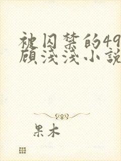 被囚禁的49天顾浅浅小说全文阅读无弹窗