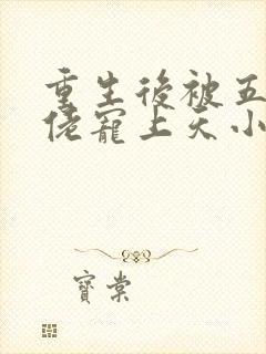 重生后被五个大佬宠上天小说免费看