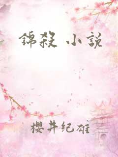 锦杀 小说