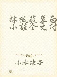 林枫苏慕白穿越小说全文付费阅读