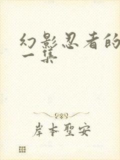 幻影忍者的最后一集