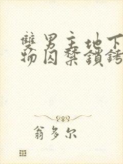 双男主地下室药物囚禁锁铐逃跑小说