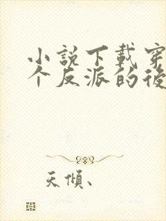 小说下载穿成五个反派的后娘