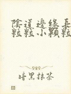 阴道边缘长了一粒粒小颗粒